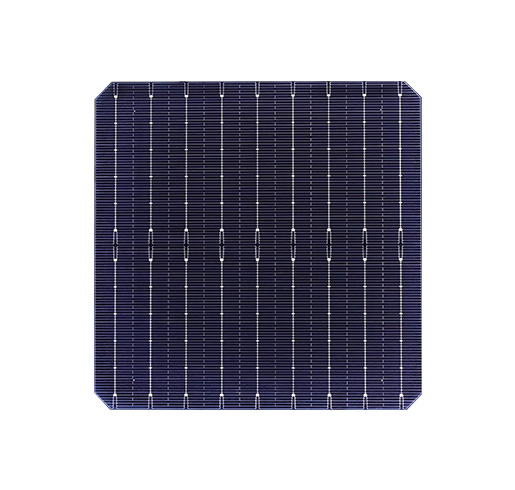166mm單晶電池片